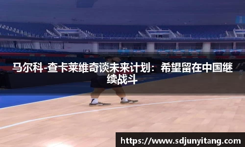 VSport体育