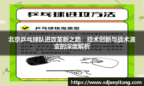 VSport-胜利因您更精彩