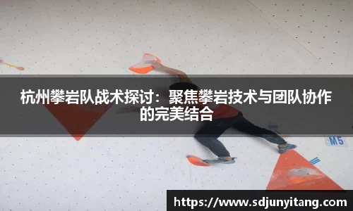 V体育