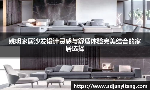 姚明家居沙发设计灵感与舒适体验完美结合的家居选择