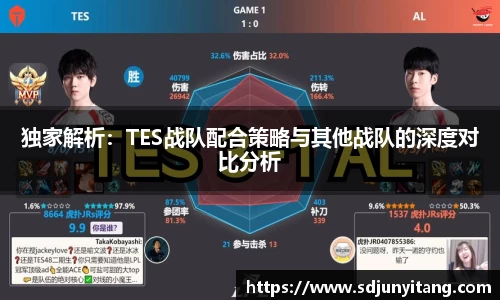 独家解析：TES战队配合策略与其他战队的深度对比分析