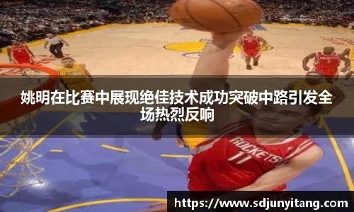 姚明在比赛中展现绝佳技术成功突破中路引发全场热烈反响