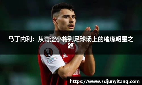 马丁内利：从青涩小将到足球场上的璀璨明星之路
