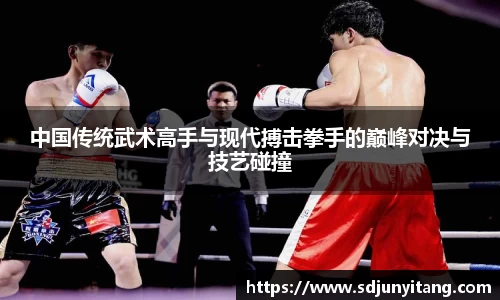 中国传统武术高手与现代搏击拳手的巅峰对决与技艺碰撞