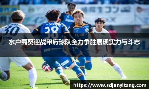 VSport-胜利因您更精彩