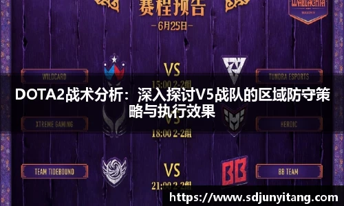 VSport-胜利因您更精彩