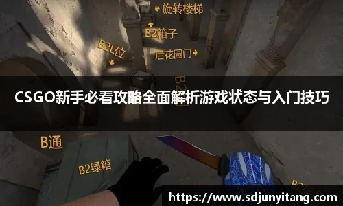 CSGO新手必看攻略全面解析游戏状态与入门技巧